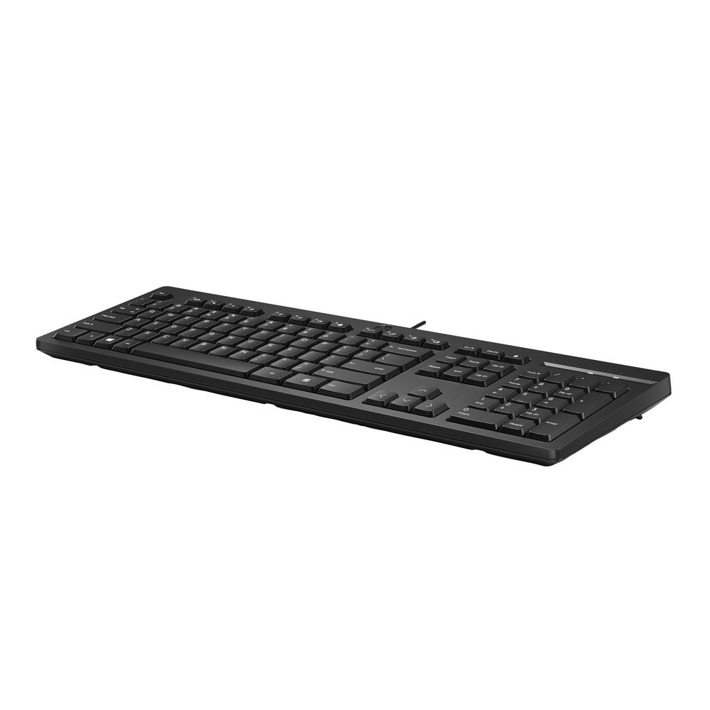 HP 125 USB lyklaborð með íslensku letri, svart - image 6 [d54e56b90f]