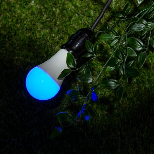 Shelly Duo E27 RGBW Wi-Fi snjallpera - image 9 [eaa12e28c2]