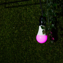 Shelly Duo E27 RGBW Wi-Fi snjallpera - image 11 [272f74f7c8]