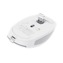 Trust Ozaa Compact þráðlaus Multi Bluetooth fartölvumús, hvít - image 5 [bf77b3d7e2]