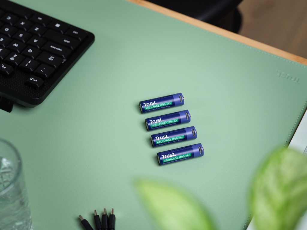 Trust endurhlaðanlegar USB-C AA rafhlöður, 4stk - image 17 [64d167d740]
