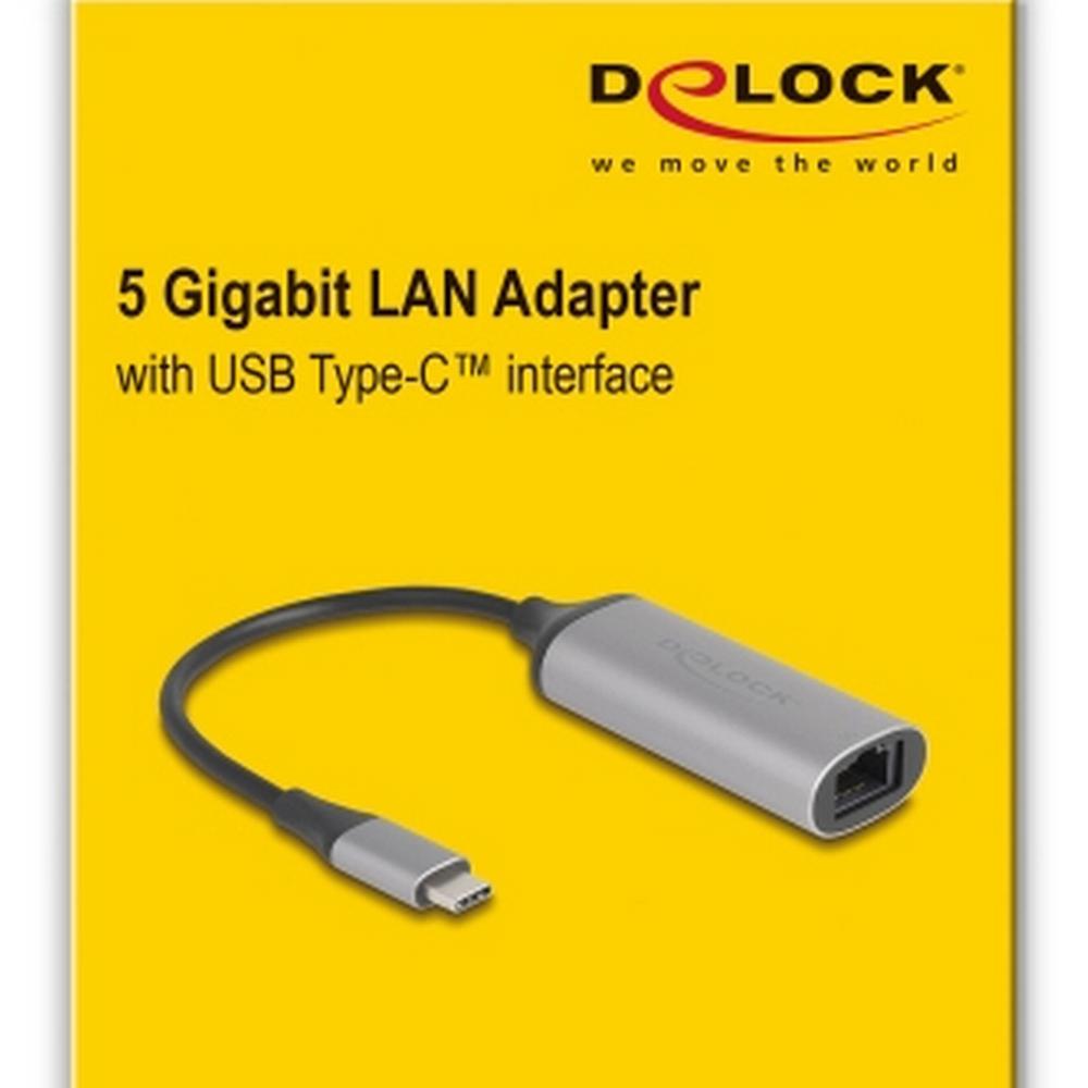 Delock USB-C í RJ45 5GbE netkort, silfur - image 4 [1f51a8ce79]