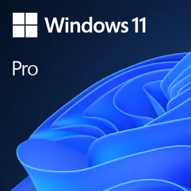 [FQC-10572] Microsoft Windows 11 Pro, ESD