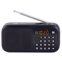 Trevi DR 7F40 Bluetooth/FM fjölnota ferðaútvarp