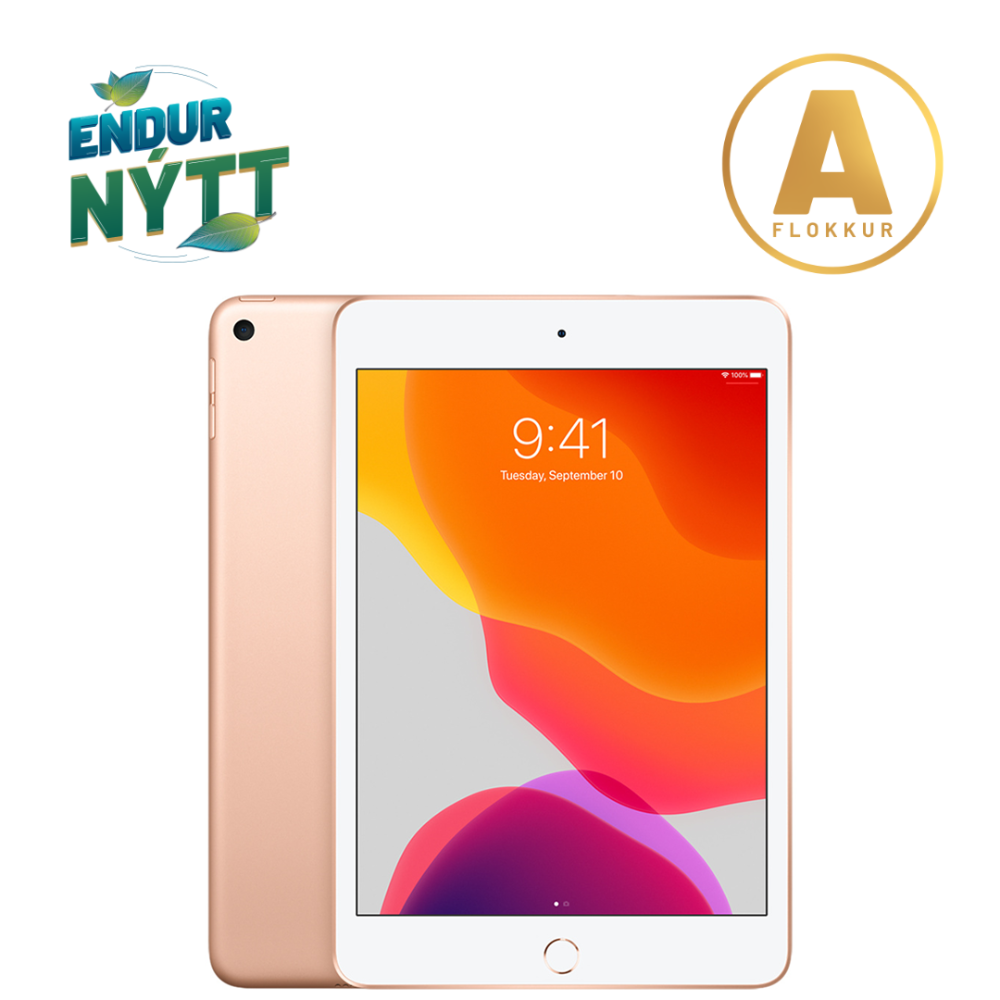 [NP/IP/MIN5/64/GD/A] Apple iPad Mini 5 7,9" spjaldtölva 64GB, Gold, endurnýtt