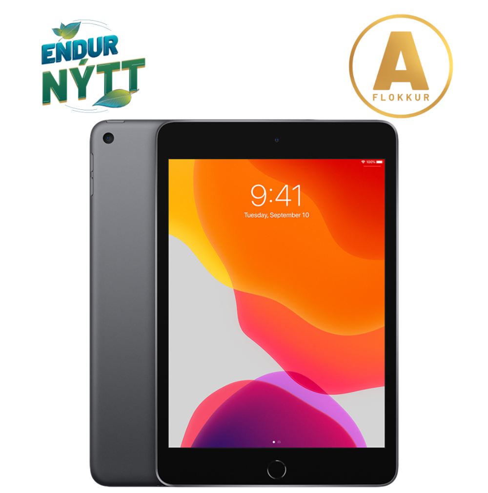 [NP/IP/MIN5/64/SG/A] Apple iPad Mini 5 7,9" spjaldtölva 64GB, Space Gray, endurnýtt