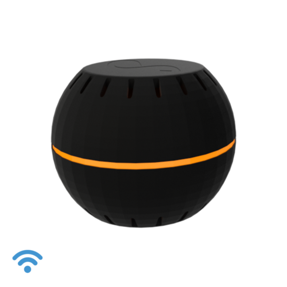 Shelly H&T Wi-Fi hita og rakaskynjari, svartur